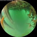 ./images/calvert/underwater/20260625/underwater20260625_203501M.jpg