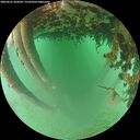 ./images/calvert/underwater/20260625/underwater20260625_204501M.jpg