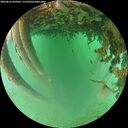 ./images/calvert/underwater/20260625/underwater20260625_205001M.jpg