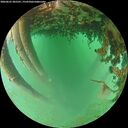 ./images/calvert/underwater/20260625/underwater20260625_205501M.jpg