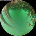 ./images/calvert/underwater/20260625/underwater20260625_210001M.jpg