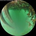 ./images/calvert/underwater/20260625/underwater20260625_210501M.jpg