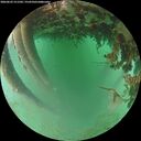 ./images/calvert/underwater/20260625/underwater20260625_211501M.jpg