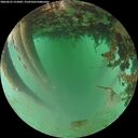 ./images/calvert/underwater/20260625/underwater20260625_212002M.jpg
