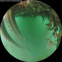 ./images/calvert/underwater/20260625/underwater20260625_212501M.jpg