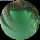 ./images/calvert/underwater/20260625/underwater20260625_213001M.jpg