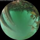 ./images/calvert/underwater/20260625/underwater20260625_213501M.jpg
