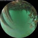 ./images/calvert/underwater/20260625/underwater20260625_214001M.jpg