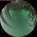./images/calvert/underwater/20260625/underwater20260625_215002M.jpg