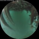 ./images/calvert/underwater/20260625/underwater20260625_220001M.jpg