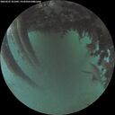 ./images/calvert/underwater/20260625/underwater20260625_221002M.jpg