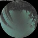 ./images/calvert/underwater/20260625/underwater20260625_221501M.jpg