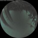 ./images/calvert/underwater/20260625/underwater20260625_222001M.jpg