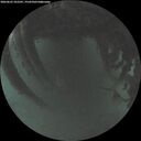 ./images/calvert/underwater/20260625/underwater20260625_222501M.jpg
