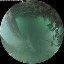 ./images/calvert/underwater/20260626/underwater20260626_053002M.jpg