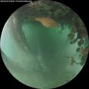 ./images/calvert/underwater/20260626/underwater20260626_054001M.jpg