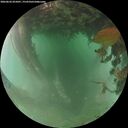 ./images/calvert/underwater/20260626/underwater20260626_055001M.jpg