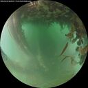 ./images/calvert/underwater/20260626/underwater20260626_060501M.jpg