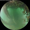 ./images/calvert/underwater/20260626/underwater20260626_061001M.jpg