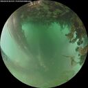 ./images/calvert/underwater/20260626/underwater20260626_061501M.jpg