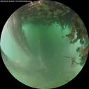./images/calvert/underwater/20260626/underwater20260626_062001M.jpg