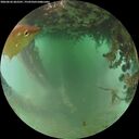 ./images/calvert/underwater/20260626/underwater20260626_062501M.jpg
