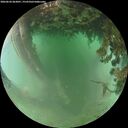 ./images/calvert/underwater/20260626/underwater20260626_063001M.jpg