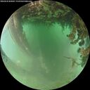 ./images/calvert/underwater/20260626/underwater20260626_064002M.jpg