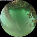 ./images/calvert/underwater/20260626/underwater20260626_064501M.jpg