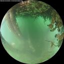 ./images/calvert/underwater/20260626/underwater20260626_065001M.jpg