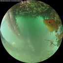 ./images/calvert/underwater/20260626/underwater20260626_065501M.jpg