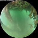 ./images/calvert/underwater/20260626/underwater20260626_070001M.jpg