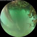 ./images/calvert/underwater/20260626/underwater20260626_070501M.jpg