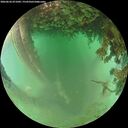 ./images/calvert/underwater/20260626/underwater20260626_071001M.jpg