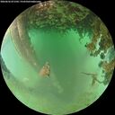 ./images/calvert/underwater/20260626/underwater20260626_071501M.jpg