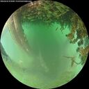 ./images/calvert/underwater/20260626/underwater20260626_072001M.jpg