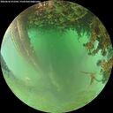 ./images/calvert/underwater/20260626/underwater20260626_072501M.jpg