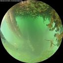 ./images/calvert/underwater/20260626/underwater20260626_073001M.jpg