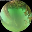 ./images/calvert/underwater/20260626/underwater20260626_073501M.jpg