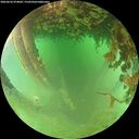 ./images/calvert/underwater/20260626/underwater20260626_074002M.jpg