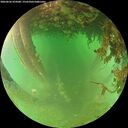 ./images/calvert/underwater/20260626/underwater20260626_074501M.jpg