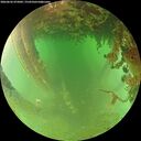 ./images/calvert/underwater/20260626/underwater20260626_075001M.jpg