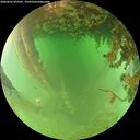 ./images/calvert/underwater/20260626/underwater20260626_075501M.jpg