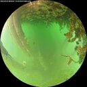 ./images/calvert/underwater/20260626/underwater20260626_080001M.jpg