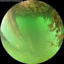 ./images/calvert/underwater/20260626/underwater20260626_081001M.jpg