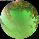 ./images/calvert/underwater/20260626/underwater20260626_081502M.jpg