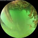 ./images/calvert/underwater/20260626/underwater20260626_082001M.jpg