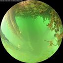./images/calvert/underwater/20260626/underwater20260626_083002M.jpg
