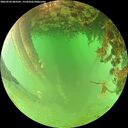 ./images/calvert/underwater/20260626/underwater20260626_083501M.jpg
