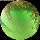 ./images/calvert/underwater/20260626/underwater20260626_084001M.jpg